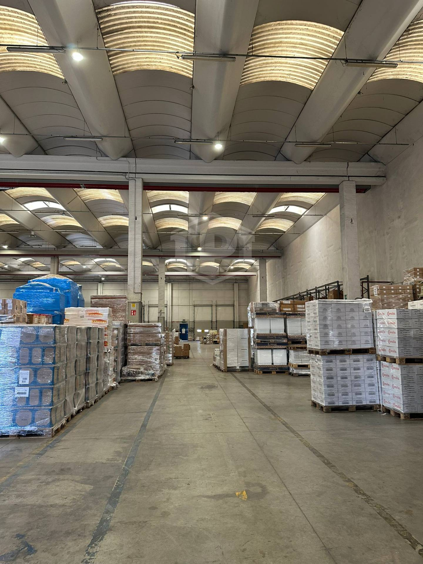 Capannone industriale logistico - Carpiano (MI)