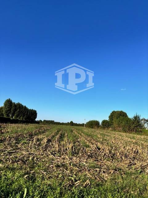 Terreno Edificabile + Agricolo Lion di Albignasego (PD)