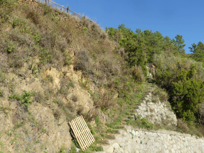Rustico con terreno a Volastra, Riomaggiore (SP)