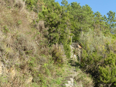 Rustico con terreno a Volastra, Riomaggiore (SP)