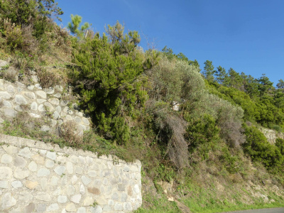 Rustico con terreno a Volastra, Riomaggiore (SP)