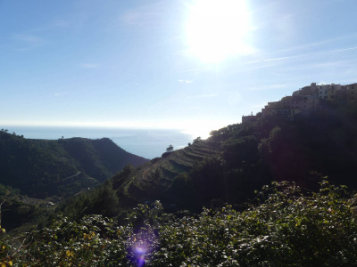 Rustico con terreno a Volastra, Riomaggiore (SP)