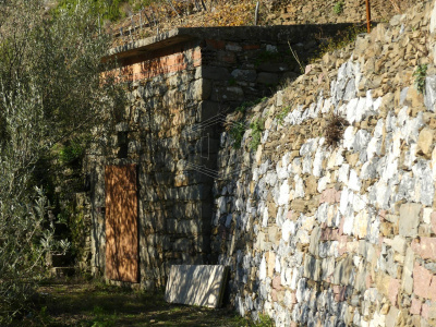 Rustico con terreno a Volastra, Riomaggiore (SP)