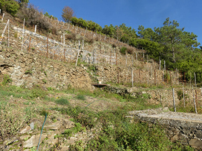 Rustico con terreno a Volastra, Riomaggiore (SP)