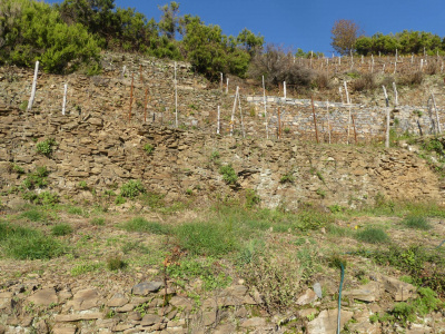 Rustico con terreno a Volastra, Riomaggiore (SP)
