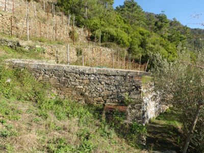 Rustico con terreno a Volastra, Riomaggiore (SP)