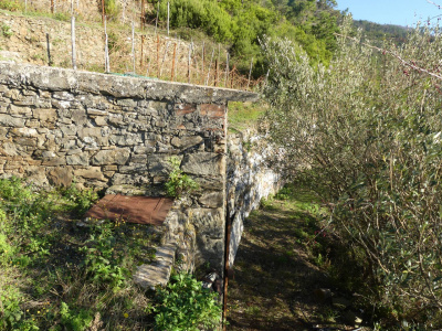 Rustico con terreno a Volastra, Riomaggiore (SP)