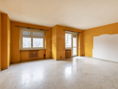 Multilocale in Corso Corsica (TO)