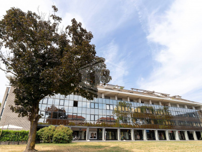 Ufficio trasformabile in appartamento in Via Gallo Pecca, Rivarolo Canavese (TO)