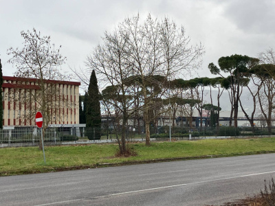 Palazzina Uffici
Viale Giovanni Agnelli snc
Piedimonte San Germano
(FR)