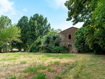 Storica tenuta del XVIII - Strada Belvedere 42 - Ponte dell'Olio - Il Belvedere di Torrano - Piacenza (PC)