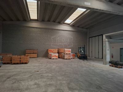 Capannone industriale in Via Necchi 8-10 - Vellezzo Bellini (PV)