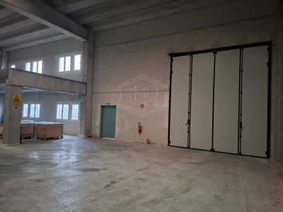 Capannone industriale in Via Necchi 8-10 - Vellezzo Bellini (PV)
