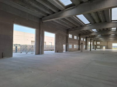 Immobile industriale in Via Mattei, Lotto B - Vellezzo Bellini (PV)