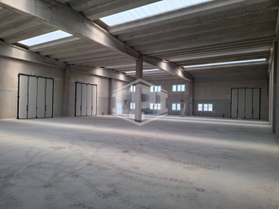 Immobile industriale in Via Ferrari, Lotto B - Vellezzo Bellini (PV)