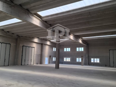 Immobile industriale in Via Ferrari, Lotto B - Vellezzo Bellini (PV)