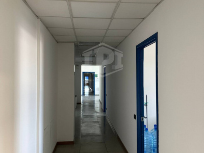 Capannone industriale logistico - Carpiano (MI)