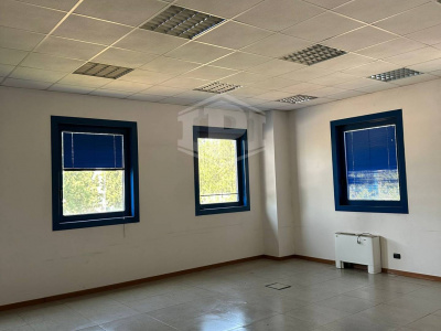Capannone industriale logistico - Carpiano (MI)