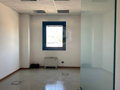 Capannone industriale logistico - Carpiano (MI)