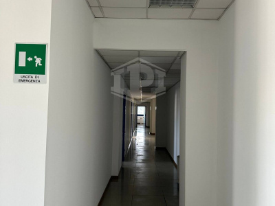Capannone industriale logistico - Carpiano (MI)