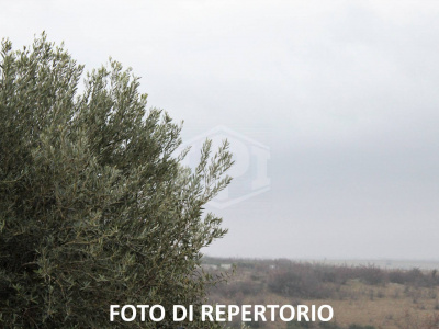 Terreno agricolo in Toscolano-Maderno (BS) Fraz. Maclino