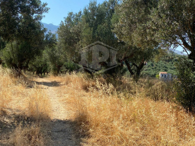 Terreno agricolo in Toscolano-Maderno (BS) Fraz. Maclino