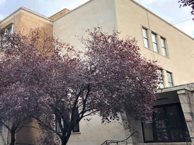 Edificio in Viale Castrense  - Roma (RM)