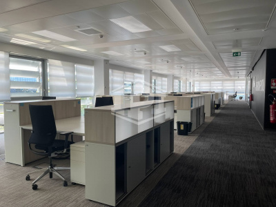 Uffici in locazione in Via Vincenzo Bona – Roma (RM)