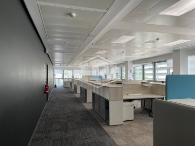 Uffici in locazione in Via Vincenzo Bona – Roma (RM)