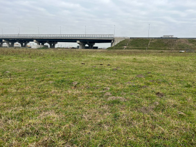 Terreno Edificabile in Via Arena, Afragola (NA)