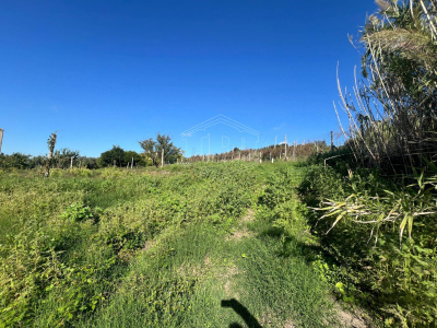 Terreno Agricolo in Via Scalandrone Snc, Pozzuoli (NA)
