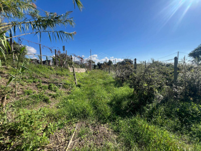 Terreno Agricolo in Via Scalandrone Snc, Pozzuoli (NA)