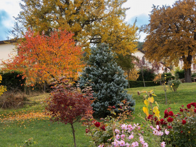 Bilocale in Via Del Fossato Snc, Pescocostanzo (AQ)