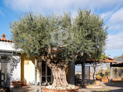 Villa con Box in Via Tre Piccioni 57, Pozzuoli (NA)