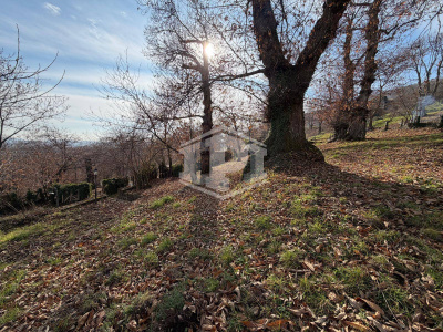 Villa in Via Giglioli 5, Roccamonfina (CE)