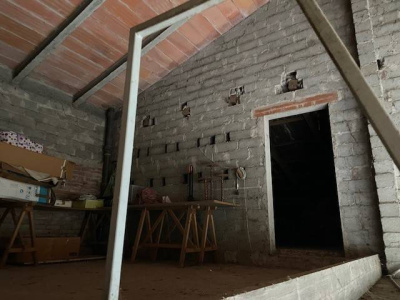Annesso rustico con terreno agricolo Vigonza (PD)