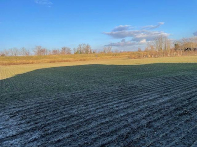 Annesso rustico con terreno agricolo Vigonza (PD)
