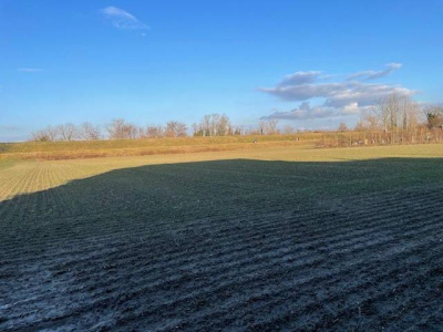 Annesso rustico con terreno agricolo Vigonza (PD)