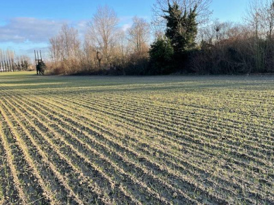 Annesso rustico con terreno agricolo Vigonza (PD)