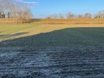 Annesso rustico con terreno agricolo Vigonza (PD)