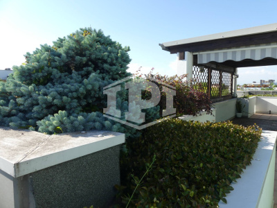 Attico terrazza Vigonza (PD)