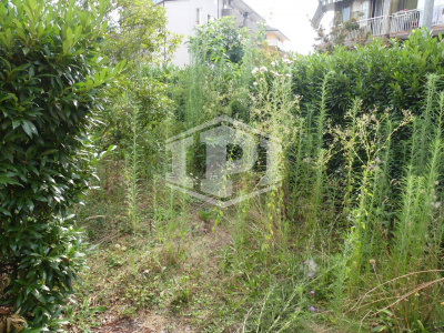 Appartamento bilocale con giardino Brusegana