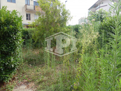 Appartamento bilocale con giardino Brusegana