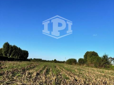 Terreno Edificabile + Agricolo Lion di Albignasego (PD)