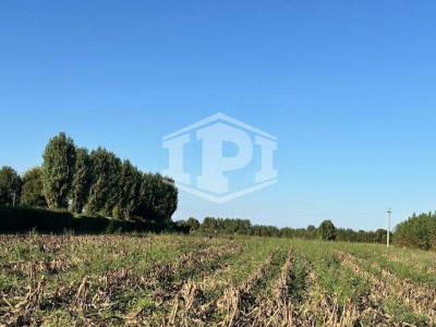 Terreno Edificabile + Agricolo Lion di Albignasego (PD)