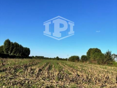 Terreno Edificabile + Agricolo Lion di Albignasego (PD)