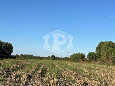 Terreno Edificabile + Agricolo Lion di Albignasego (PD)