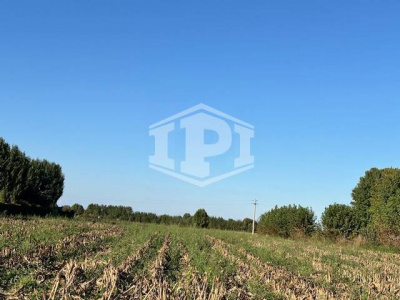 Terreno Edificabile + Agricolo Lion di Albignasego (PD)