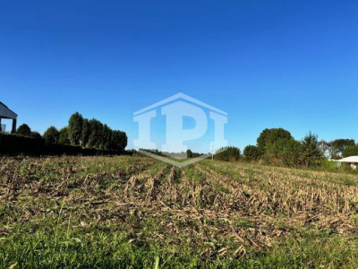 Terreno Edificabile + Agricolo Lion di Albignasego (PD)