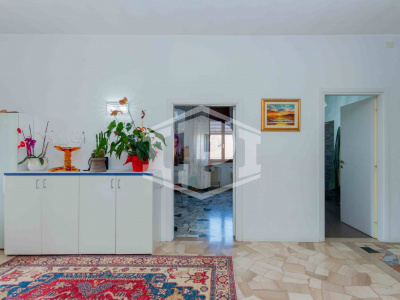 Saonara - Appartamento  con laboratorio